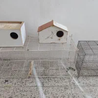 فروش قفس پرنده