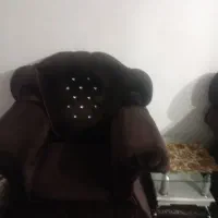 مبل راحتی|مبلمان خانگی و میز عسلی|مشگین شهر, |دیوار