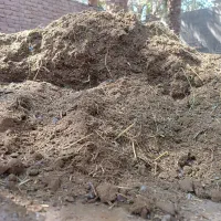 خاک گوسفند و اسب یک دست