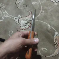 چاقو|کلکسیون و سرگرمی|سوری, |دیوار