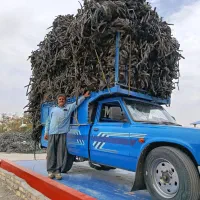 نوار قطره ای آبیاری  نوار تیپ کشاورزی