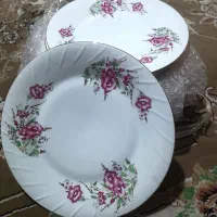 دو دست پلو خوری
