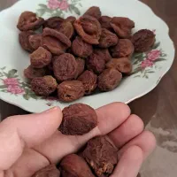 زردآلوی خشک(هسته دار) و لواشک خالصِ زردآلو ۱۴۰۴