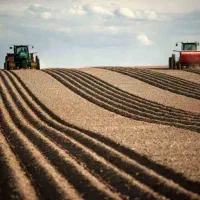 زمین پروانه گلخانه قلعه موسی خان