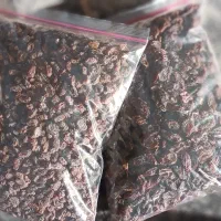 کشمش بیدانه|خوردنی و آشامیدنی|محمدیه-قزوین, |دیوار