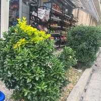 واگذاری سوپر مارکت شهرک غرب