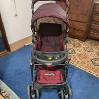 کالسکه دلیجان درحد نو