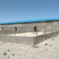 اجاره دامداری ۲۰۰ راس گوساله و۸ هکتار زمین وباغ|اجارهٔ دفتر صنعتی، کشاورزی، تجاری|کاغذکنان, |دیوار