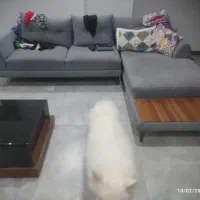 مبل ال راحتی کلاف چوب روس