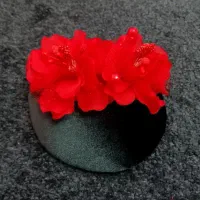 تلسر و کاپکلاه اکسسوری یلدایی|زیورآلات و اکسسوری|رشت, سعدی (تختی)|دیوار