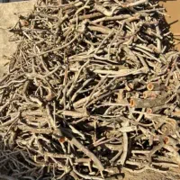 فروش هیزم درجه یک|خدمات باغبانی و درختکاری|ماهان, |دیوار