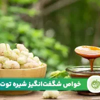 شیره توت سفیدخانگی خالص