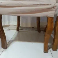 دوتا صندلی میزبان