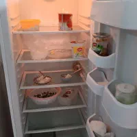 یخچال الکترو استیل|یخچال و فریزر|نیشابور, ده حلاج|دیوار