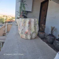 تعدادی گلدان|گل و گیاه طبیعی|اهواز, سیصد دستگاه|دیوار