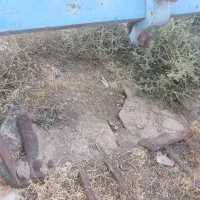 چغندر کن ساچمه ای|ماشینآلات صنعتی|جلگه رخ, |دیوار