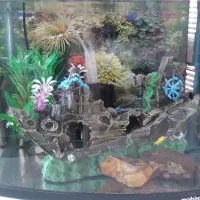 آکواریوم شیشه خم ماهیران با کلیه تجهیزات