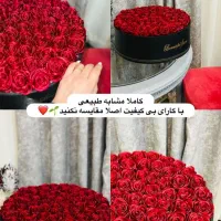 مه گل|گل و گیاه طبیعی|اصفهان, مهدی آباد|دیوار