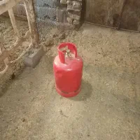 کپسول گازاتان