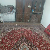 پارک بازی خرگوش