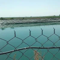 اجاره ۲۴ هکتار زمین کشاورزی برای کاهو
