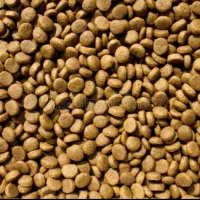 غذا خشک سگ کیفیت خوب قیمت قدیم