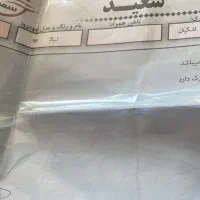 تیبا 2 پلاس مدل 99 بدون رنگ|خودرو سواری و وانت|اصفهان, دوطفلان|دیوار