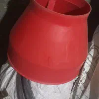 دانخوری بلدرچین