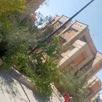 هم خونه
