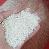 میان واری ونیم دانه