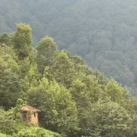 تور 2 روزه املش آژانس پرواز هوروش