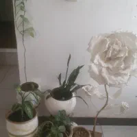 گل گلدان