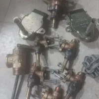 همه سالم سالم