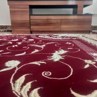 زیر تلیوزیون
