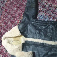 بوفالو خارجی اصل|لباس|کامیاران, |دیوار