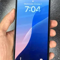 13 Normal