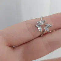 انگشترای نگیندار و آینه ای رنگ ثابت|بدلیجات|تهران, تهرانسر شرقی|دیوار