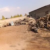 خریدار چوب هیزمی وصنعتی|خدمات باغبانی و درختکاری|احمدآبادمستوفی, |دیوار