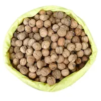 گردو شمال