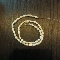 بند مروارد اصل
