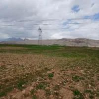 جویای کار هستم