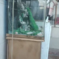 آکواریوم باتمام وسایل وجا کفشی
