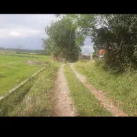 فروش زمین ۴۵۰ متری در کوچصفهان مناسب بناسوئیسی|فروش زمین و ملک کلنگی|رشت, بازار|دیوار