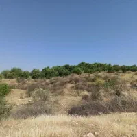 3000متر باغ لیمو|فروش خانه و ویلا|بوستان, |دیوار