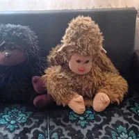عروسک
