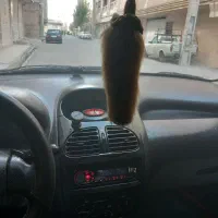 مدل 89 سالم به شرط