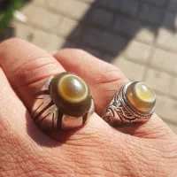 باباقوری کهنه بکر