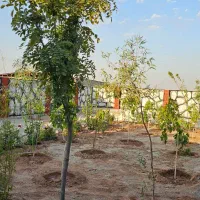 باغچه سند دار ۱۹۰ متری