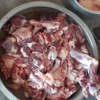 قصاب در محل،سلاخی،گوسفند زنده|حیوانات مزرعه|قم, نیروگاه|دیوار