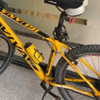 دوچرخه ۲۹ ویوا